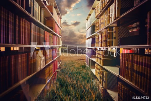 Bild på Composite image of close up of a bookshelf 3d